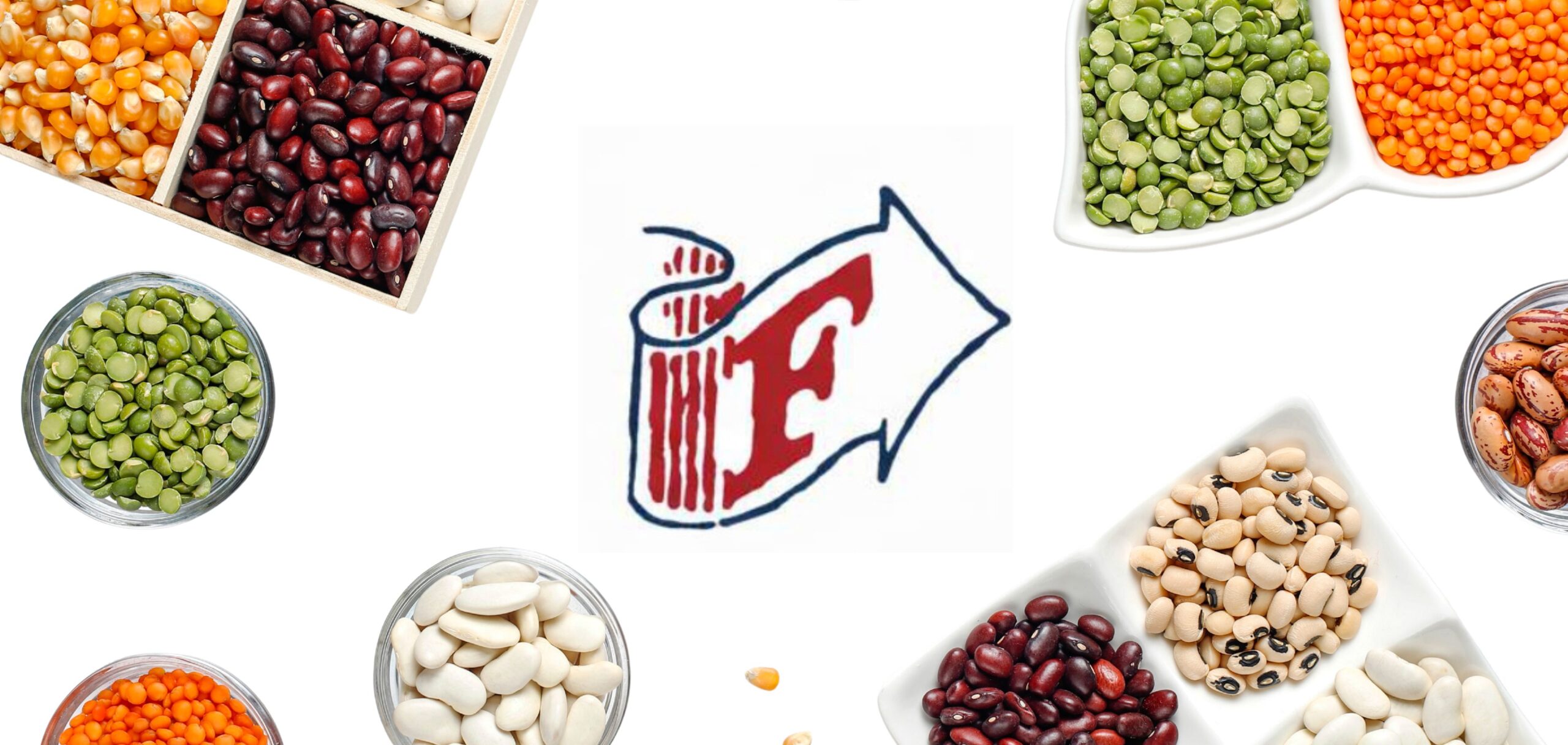 untitled design (21)