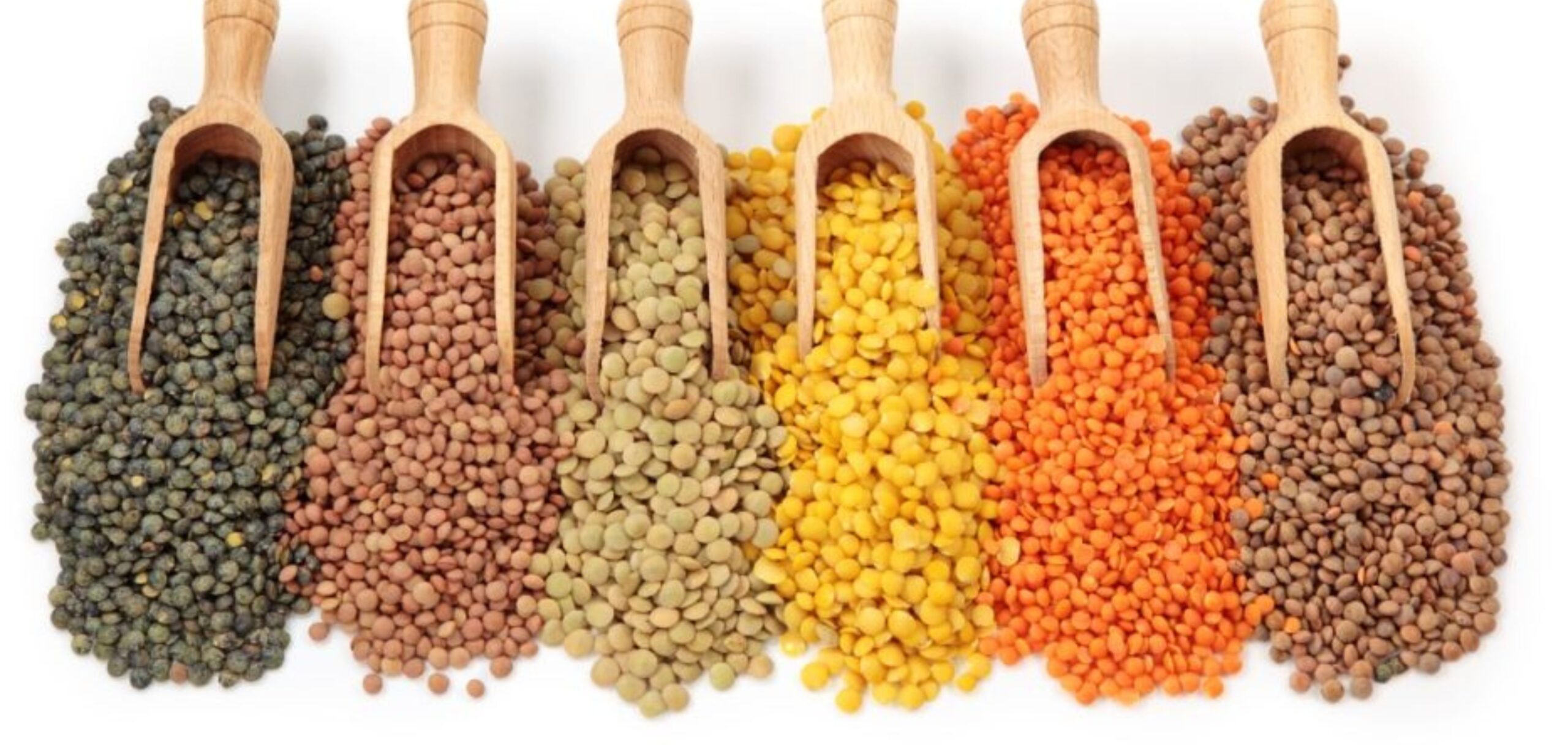 untitled design (23)