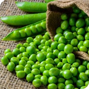 ar greenpeas copy